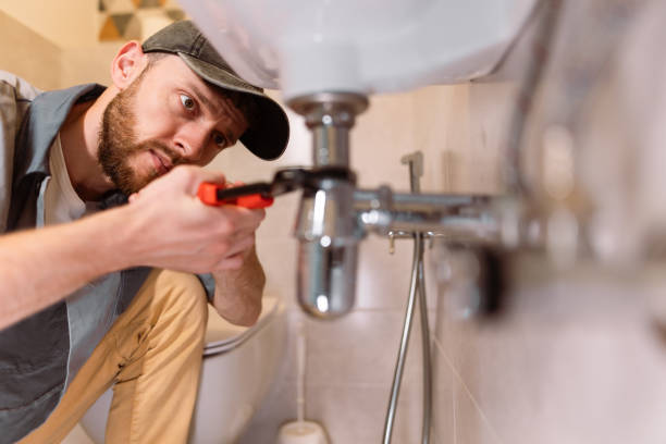 Best Local Plumber Services  in Watsontown, PA